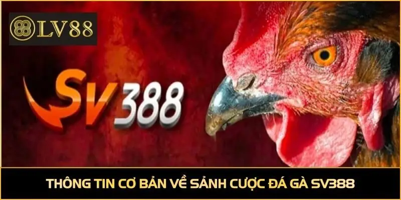 Thông tin cơ bản về sảnh cược đá gà SV388